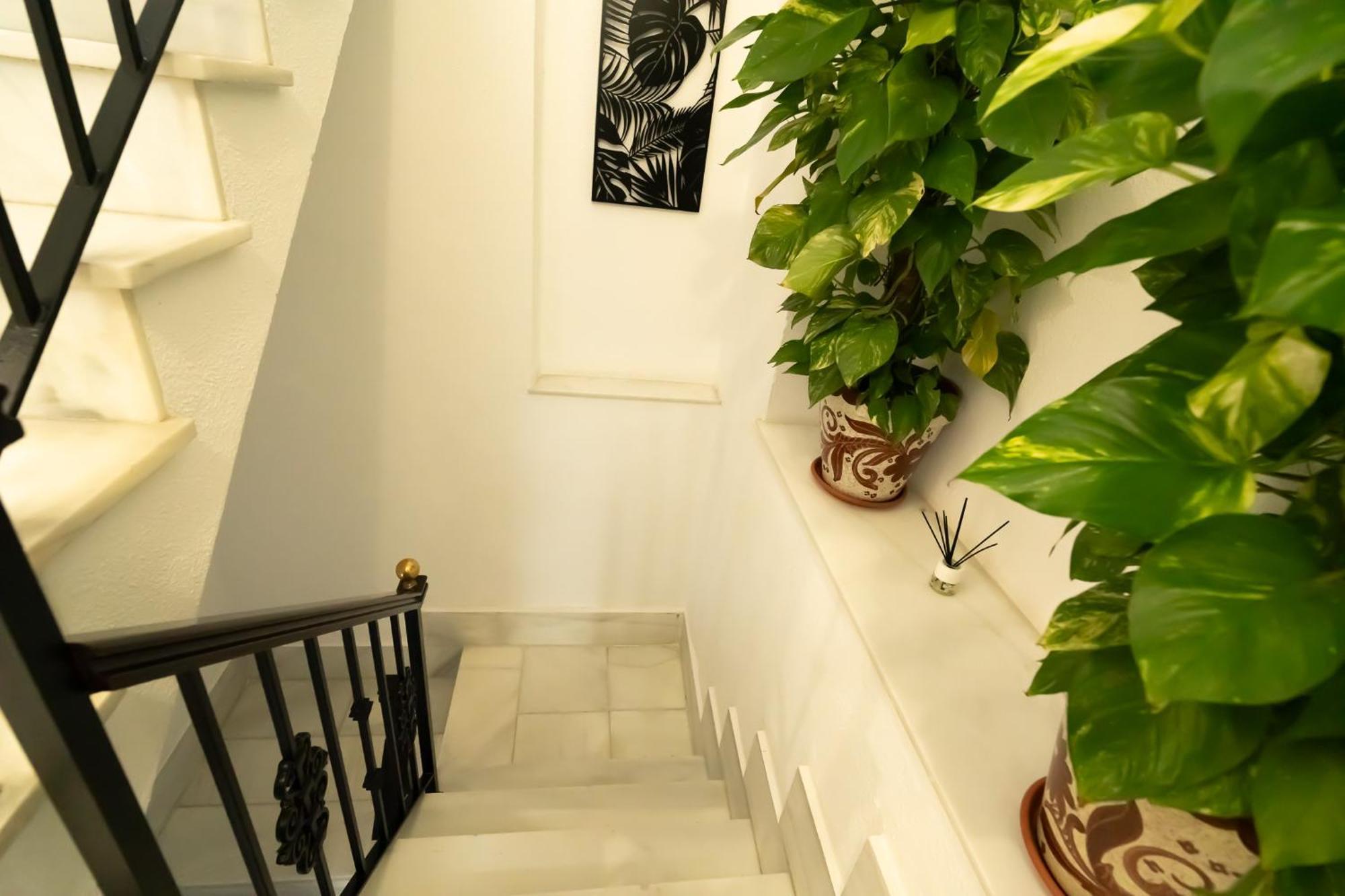 Apartamentos Consistorio Live Jerez de la Frontera Eksteriør bilde